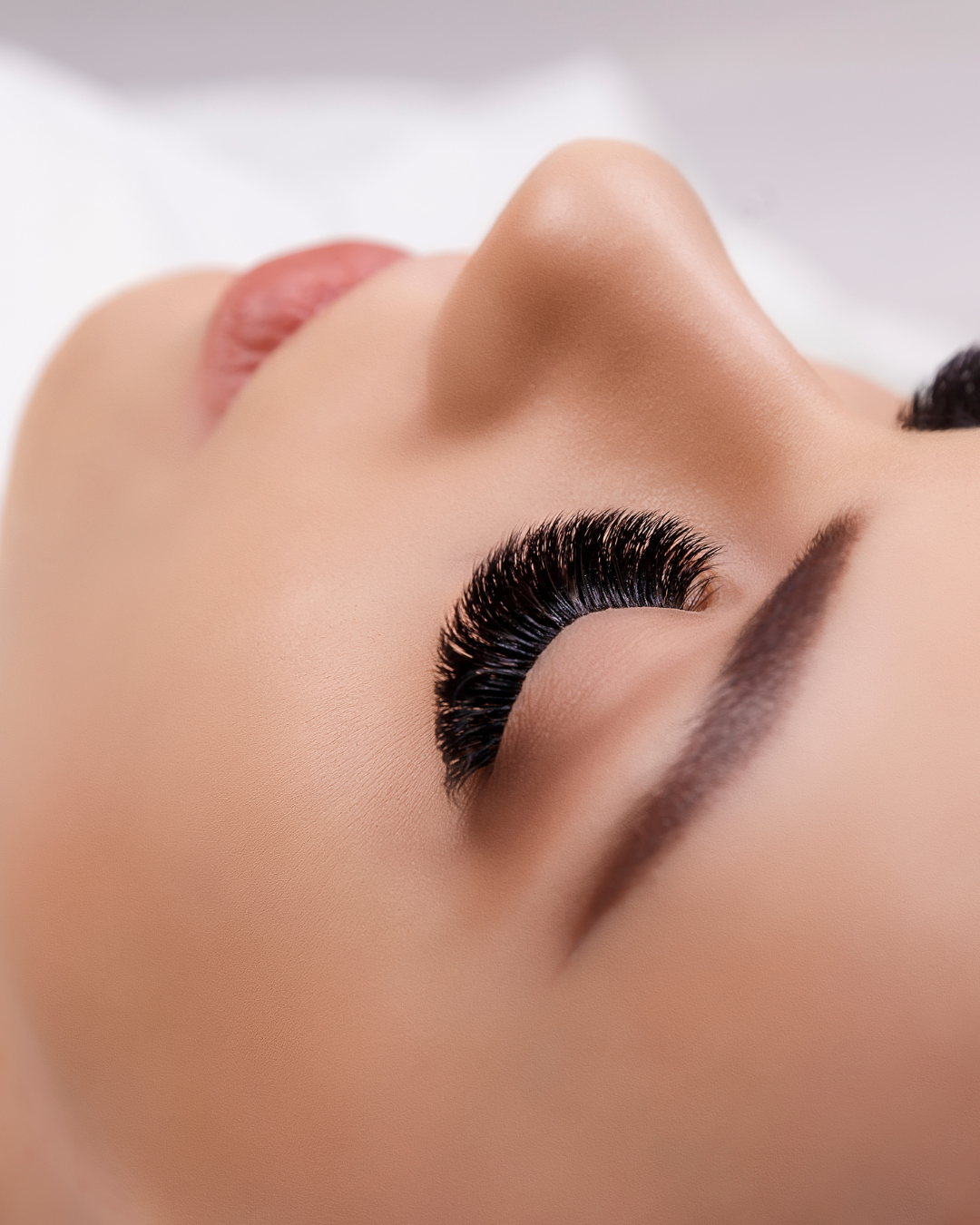 PREMADE FAN BOOK 10D /500 FANS